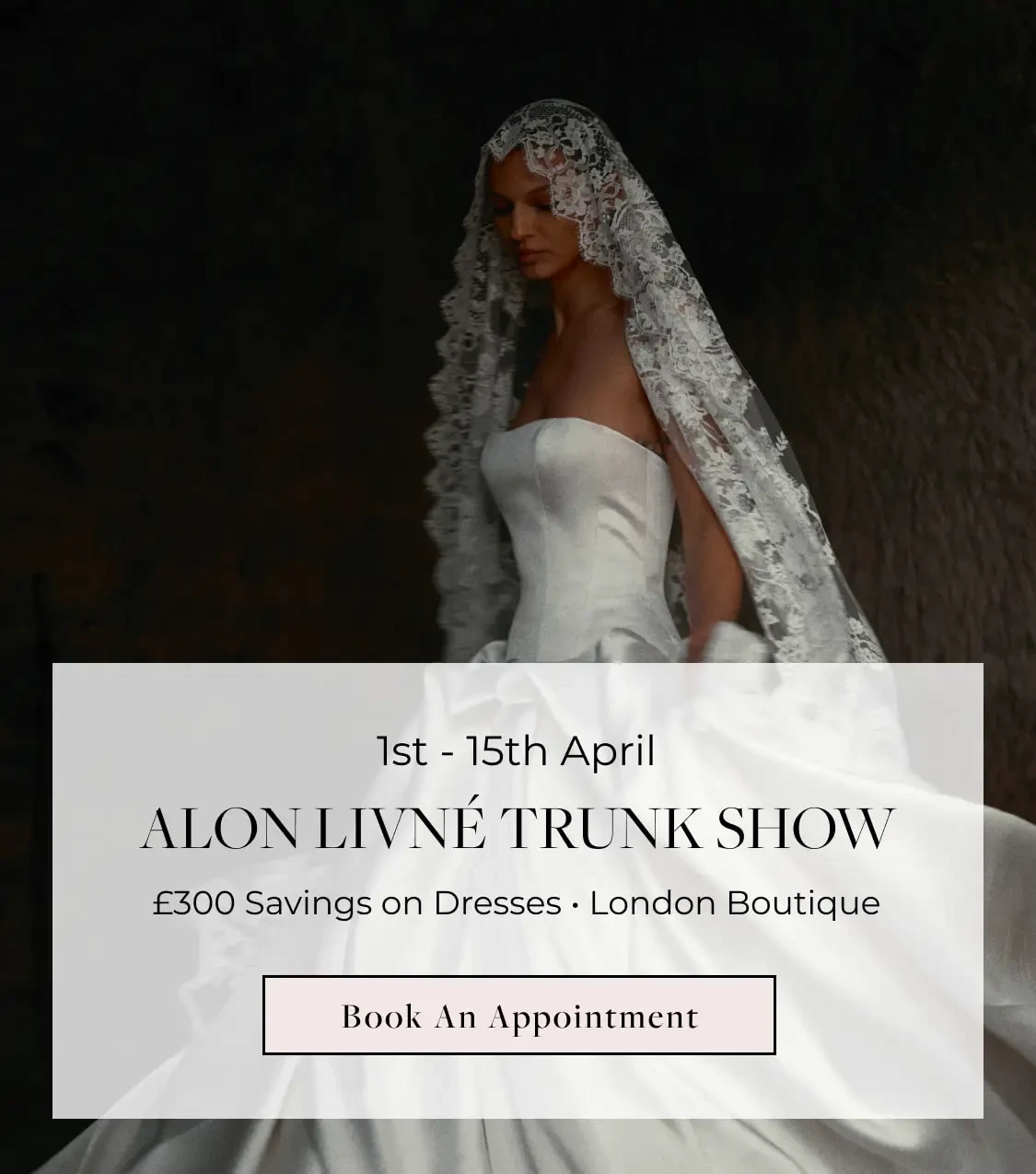 Alon Livné Trunk Show Banner for Mobile
